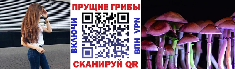 Галлюциногенные грибы мицелий  Власиха 